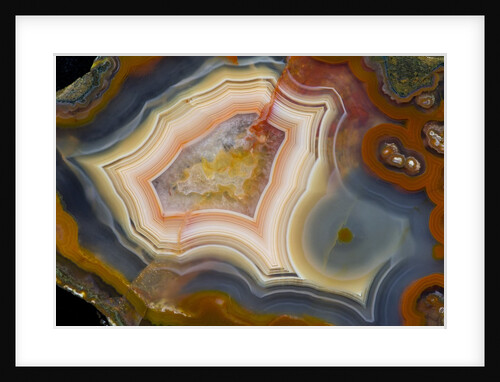 Condor Agate with fortifcations by Anonymous