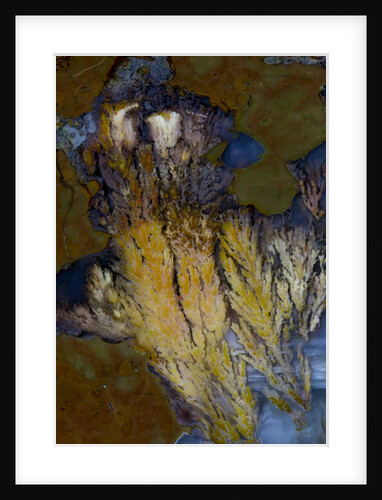 Plume of Priday Agate by Anonymous
