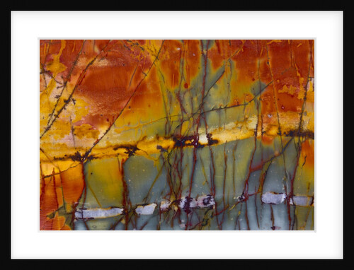 Cherry Creek Jasper by Anonymous