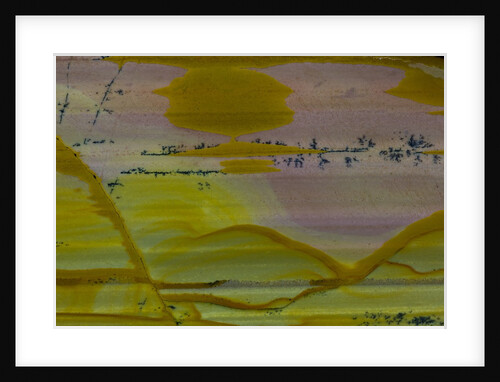 Picture Jasper by Anonymous