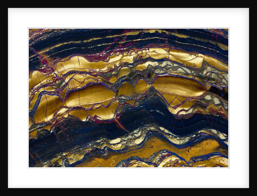 Tiger Eye by Anonymous