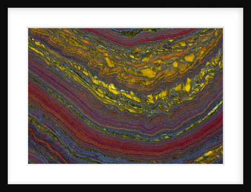 Tiger Eye by Anonymous