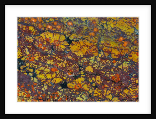 Poppy Jasper by Anonymous