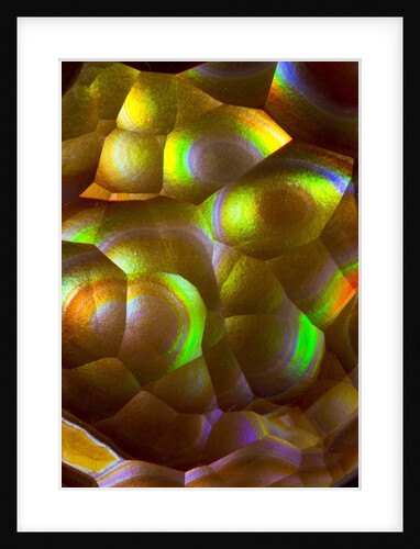 Fire Agate by Anonymous