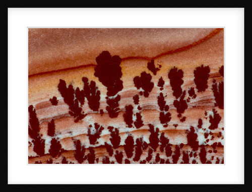 Close up Apache Jasper by Anonymous