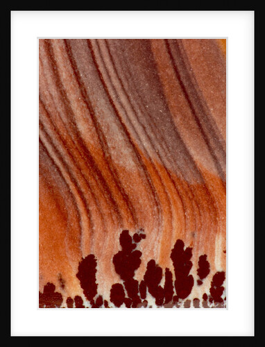 Close up Apache Jasper by Anonymous
