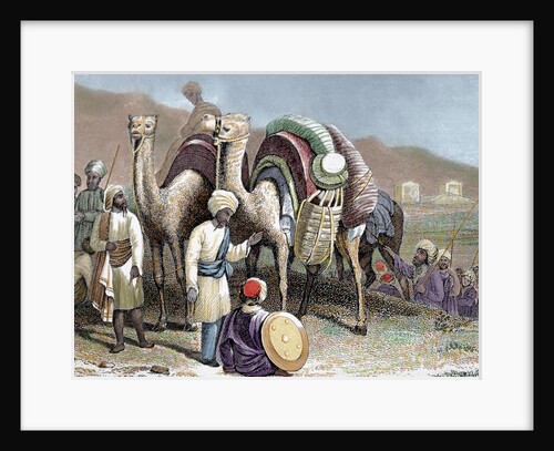 Silk Road. Caravan of camels resting. Engraving by Anonymous