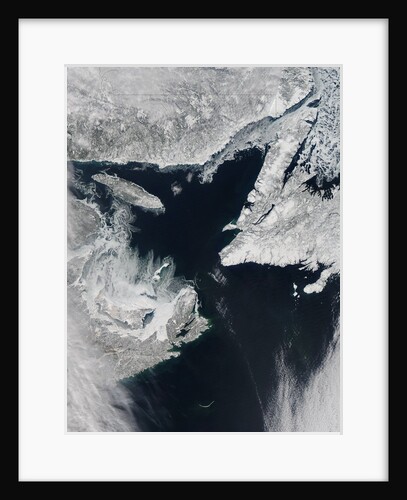 Sea Ice in the Gulf of St. Lawrence by Anonymous