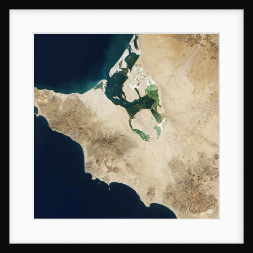 El VizcaÃ­no Biosphere Reserve, Mexico by Anonymous