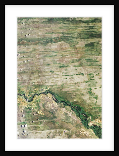 Linear Dunes of the Caprivi Strip, Namibia by Anonymous