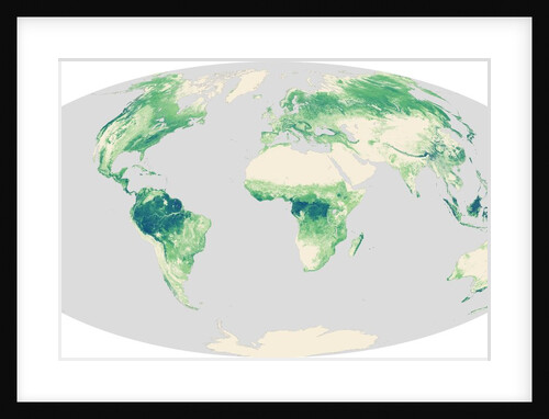 Global Forest Heights by Anonymous