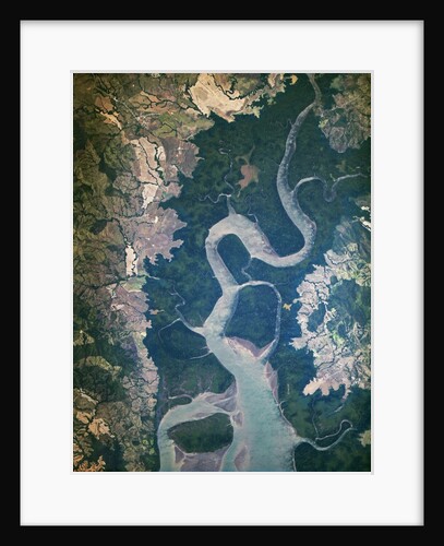 The Rio San Pablo in Panama by Anonymous