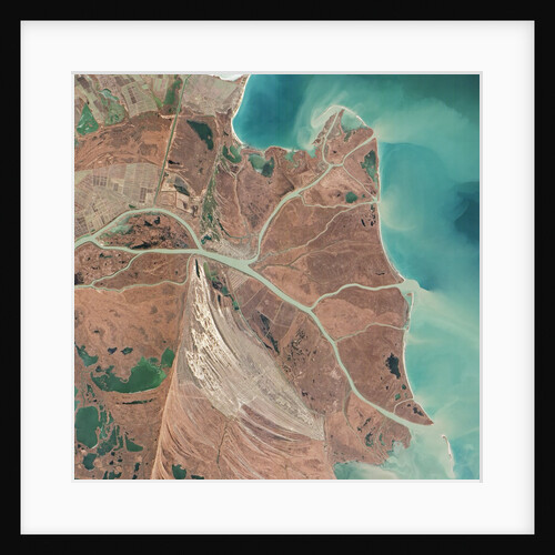 Danube River Delta by Anonymous