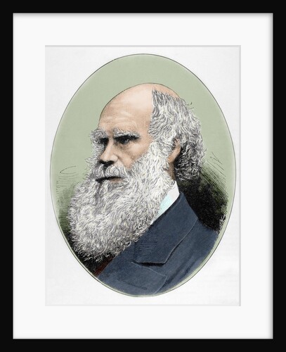 Darwin, Charles Robert (1809-1882) British naturalist. Colored engraving by Anonymous