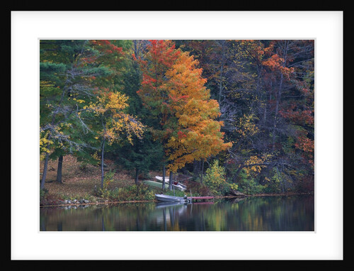 View of river and forest in early autumn, Pittsfield, Massachusetts, USA by Anonymous