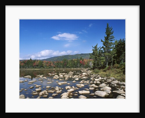 View of Lily Pond in autumn, Kangamagus Highway, White Mountains, New Hampshire, USA by Anonymous