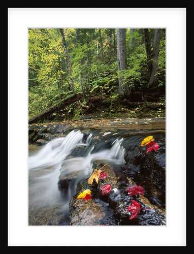 View of river near Arethusa Falls, White Mountains, New Hampshire, USA by Anonymous