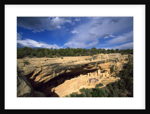 View of Cliff Palace, Mesa Verde National Park, Colorado, USA by Anonymous