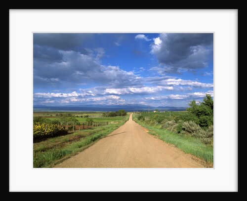 View of Crow Canyon, Colorado, USA by Anonymous