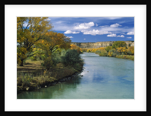View of Animas River, New Mexico, USA by Anonymous