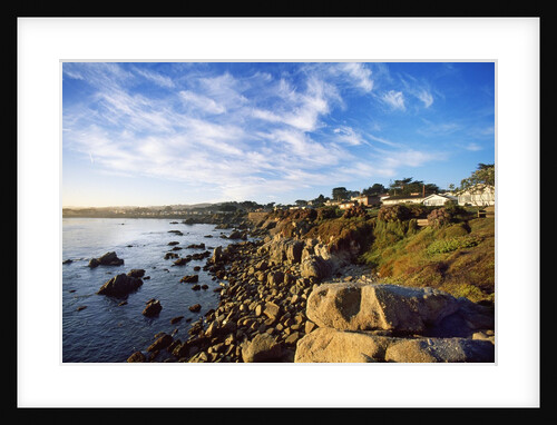 View of coastline, Pacific Grove, Monterey, California, USA by Anonymous