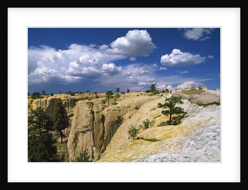 View of rock formation, New Mexico, USA by Anonymous