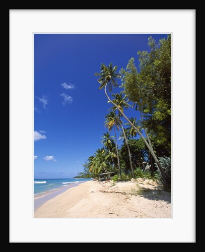 Holetown beach, St James, Barbados by Anonymous