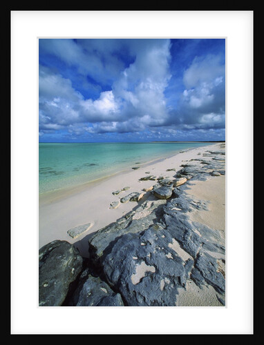 Beach, Turks and Caicos Islands, UK by Anonymous