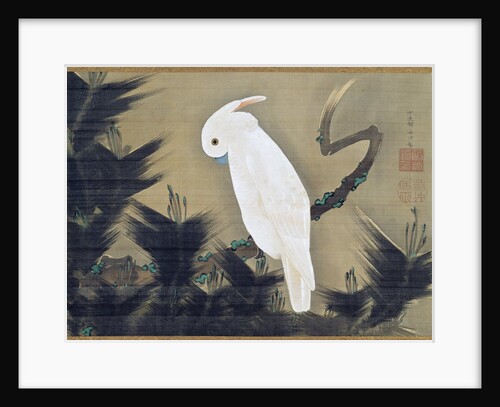 White Cockatoo on a Pine Branch by Ito Jakuchu