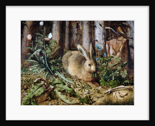 A Hare in the Forest by Hans Hoffmann
