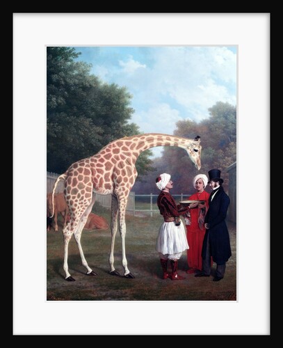 Nubian Giraffe by Jacques-Laurent Agasse