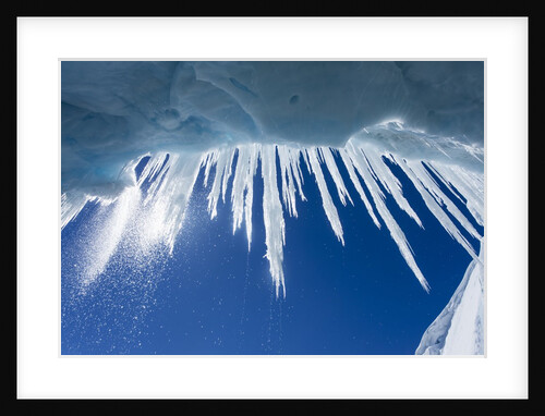 Icicles in Glacier Snow Cave, Antarctic Peninsula by Anonymous