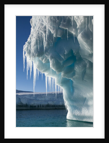 Iceberg, Petermann Island, Antarctica by Anonymous