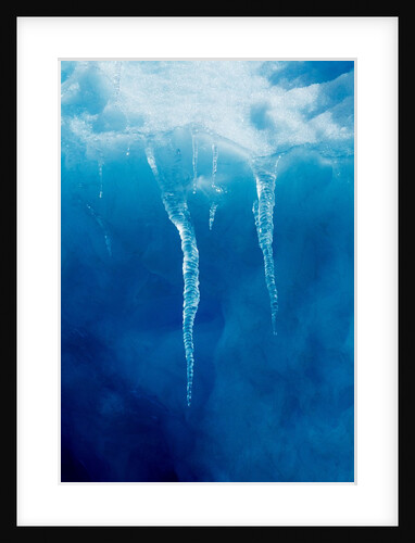 Iceberg, Gerlache Strait, Antarctica by Anonymous