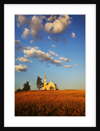 Rocklyn Community Church with Club Wheat at Harvest by Anonymous
