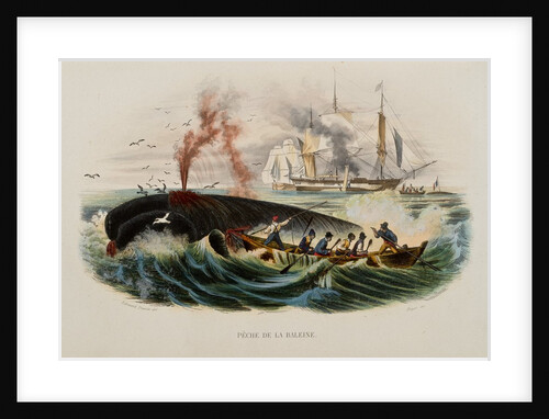 Whaling by Anonymous