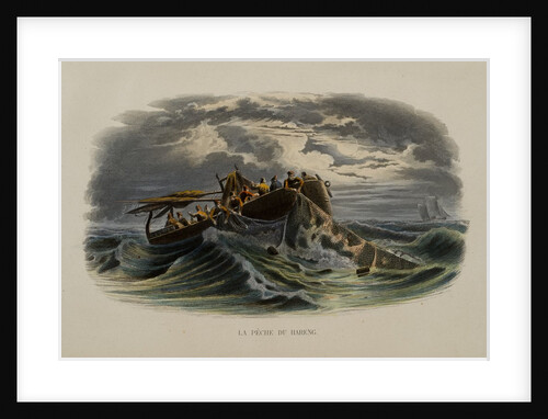 Herring Fishing by Anonymous