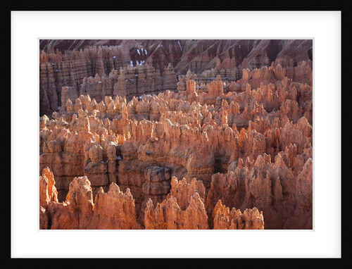Bryce Canyon National Park, Utah. USA by Anonymous