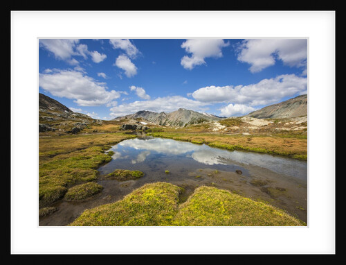 Revelstoke, Bugaboo Provincial Park, British Columbia, USA by Anonymous