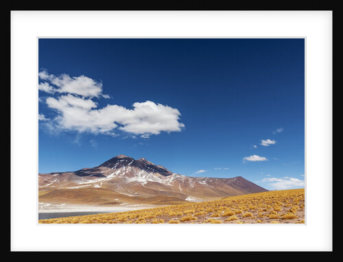 Desert lagoon, San Pedro de Atacama, Antofagasta Region, Chile by Anonymous