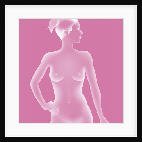 Silhouette of a woman by Anonymous