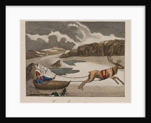 Sleigh in Lapland by Anonymous