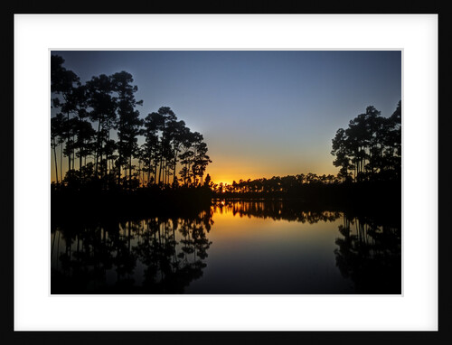 Sunset in Long Pine area of Everglades NP by Anonymous