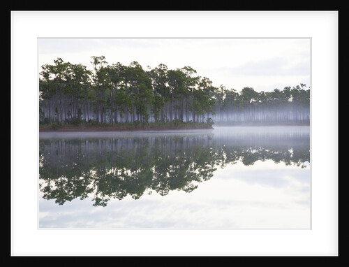 Fog over the lake in Long Pine area of Everglades NP by Anonymous
