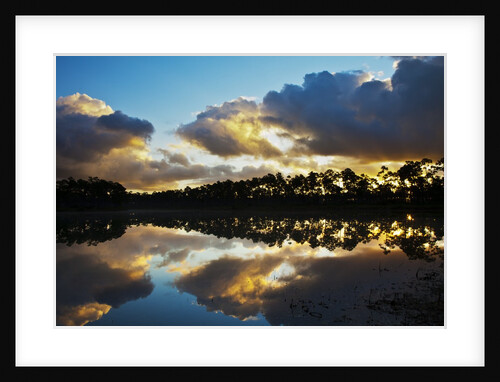 Sunrise in Long Pine area of Everglades NP by Anonymous