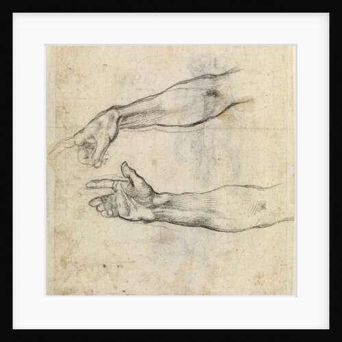 Study of two arms for 'The Drunkenness of Noah' in the Sistine Chapel by Michelangelo