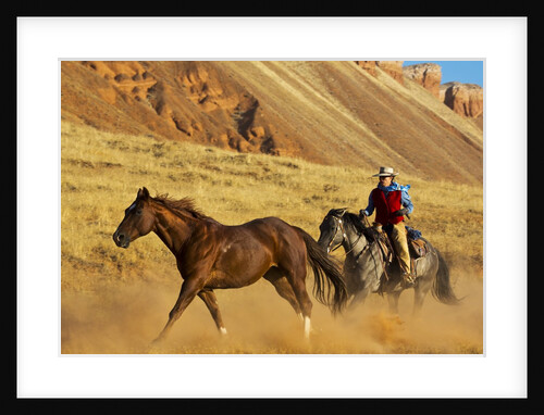 Cowgirl herding a horse by Anonymous