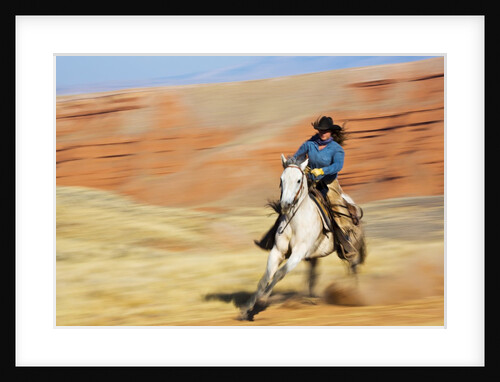 Cowgirl riding the range by Anonymous