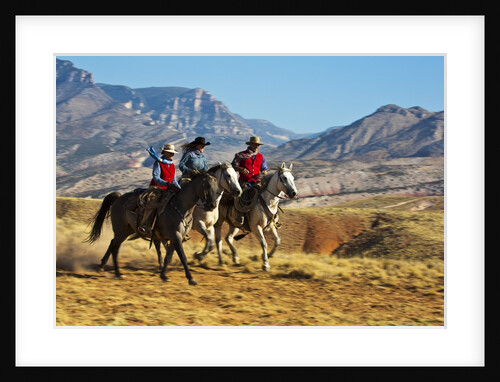 Cowgirl and cowboy riding together by Anonymous