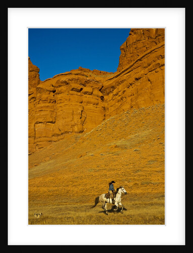 Cowgirl riding the range by Anonymous